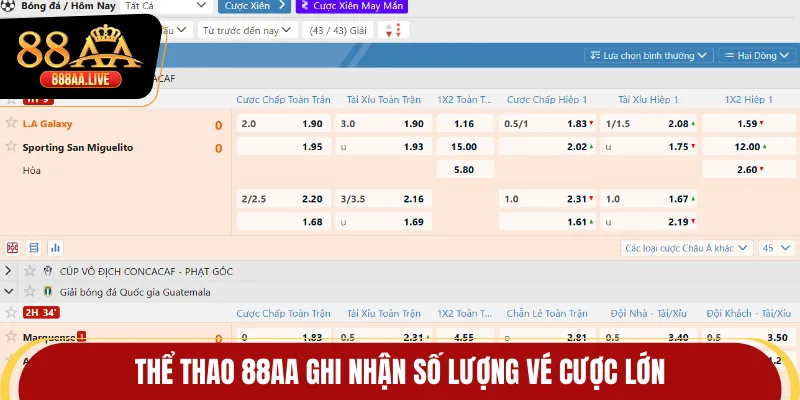 Thể thao 88AA ghi nhận số lượng vé cược lớn